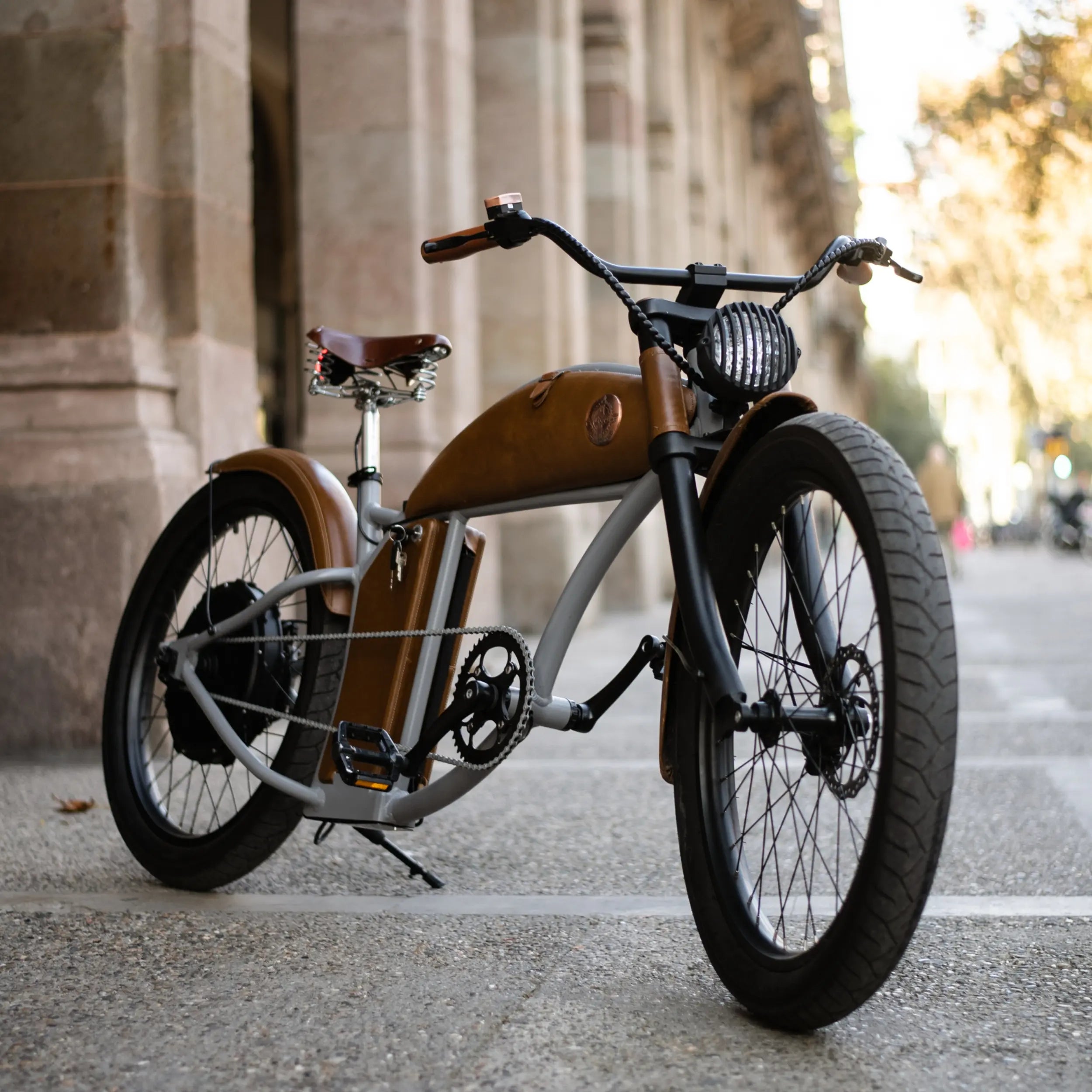 Rayvolt bikes, the ideal mix of comfort, power, and efficiency