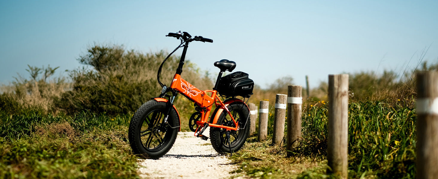 ENGWE EP-2 PRO