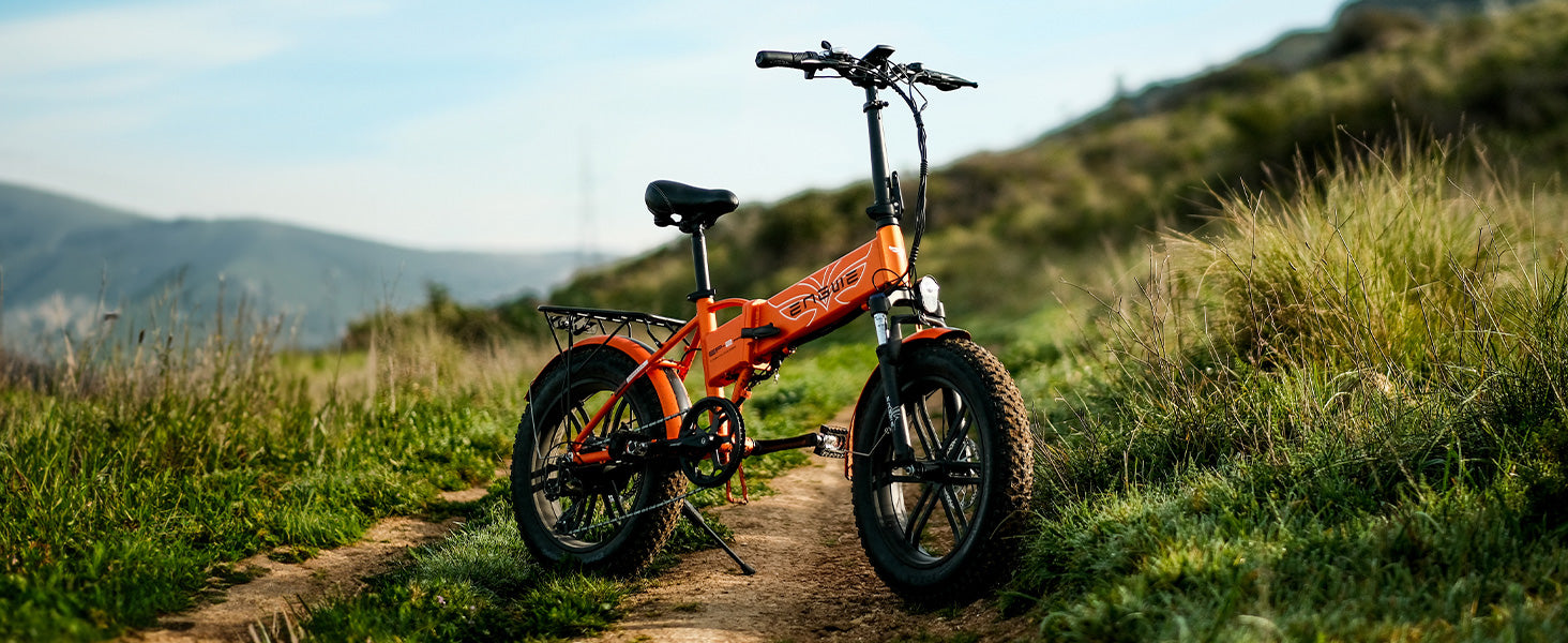 ENGWE EP-2 PRO