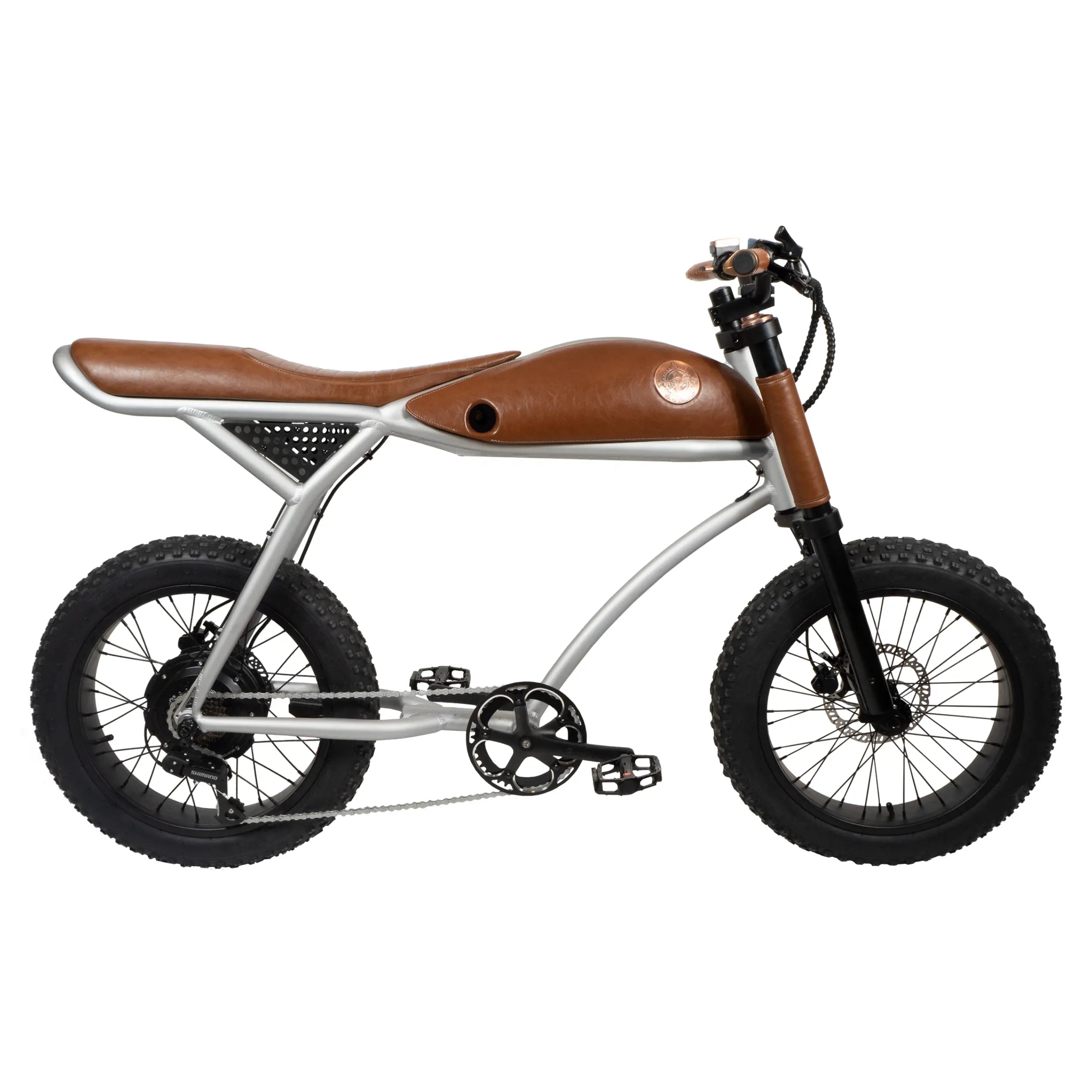 Rayvolt e-bicycles invite you to embrace the future of cycling