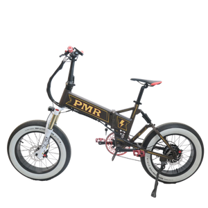 PMR X GSA Pinstripe Edition MATE Bike